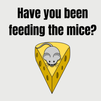 Mouse on cheese with text "have you been feeding the mice?"