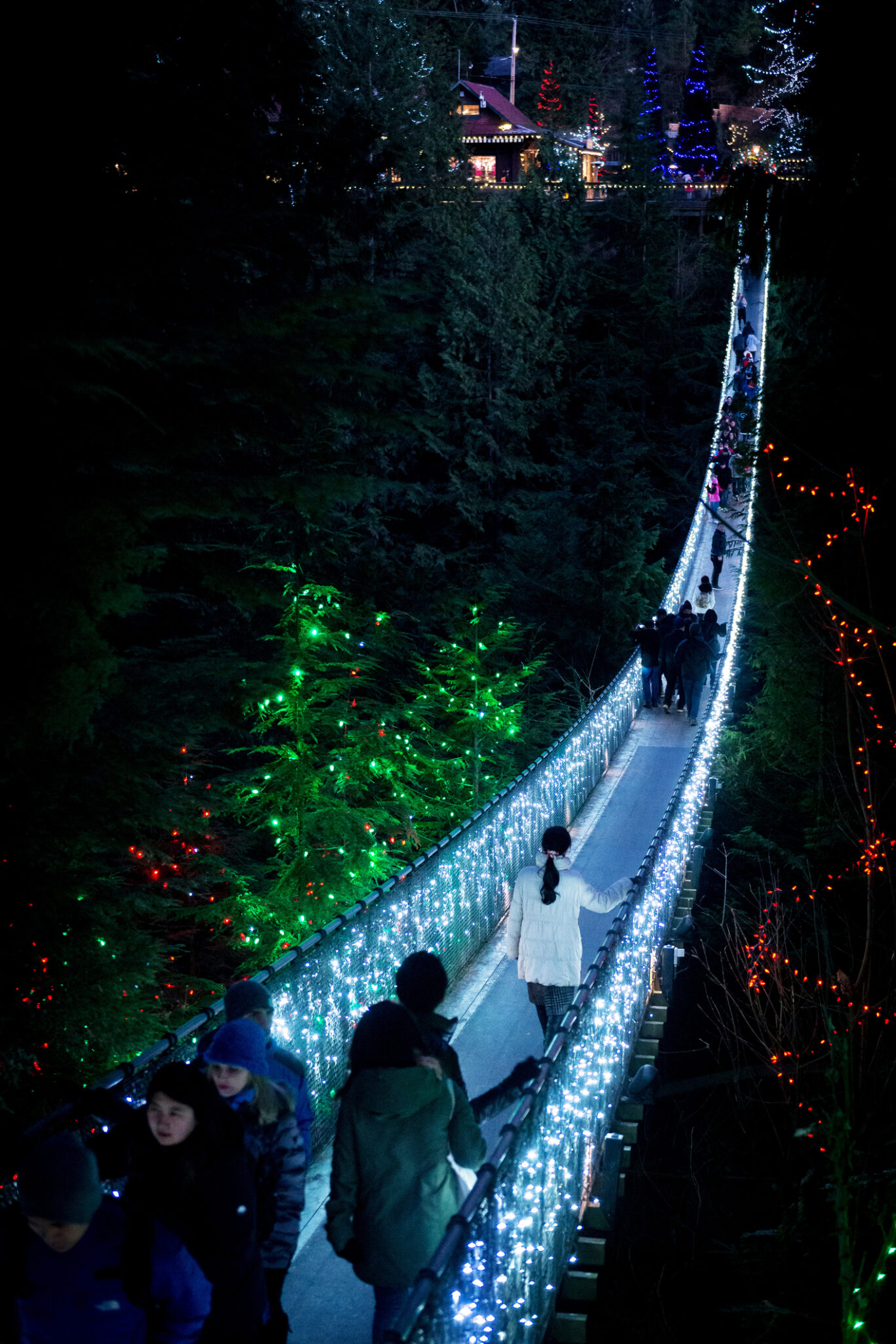 WA Capilano Suspension Bridge Canyon Lights!